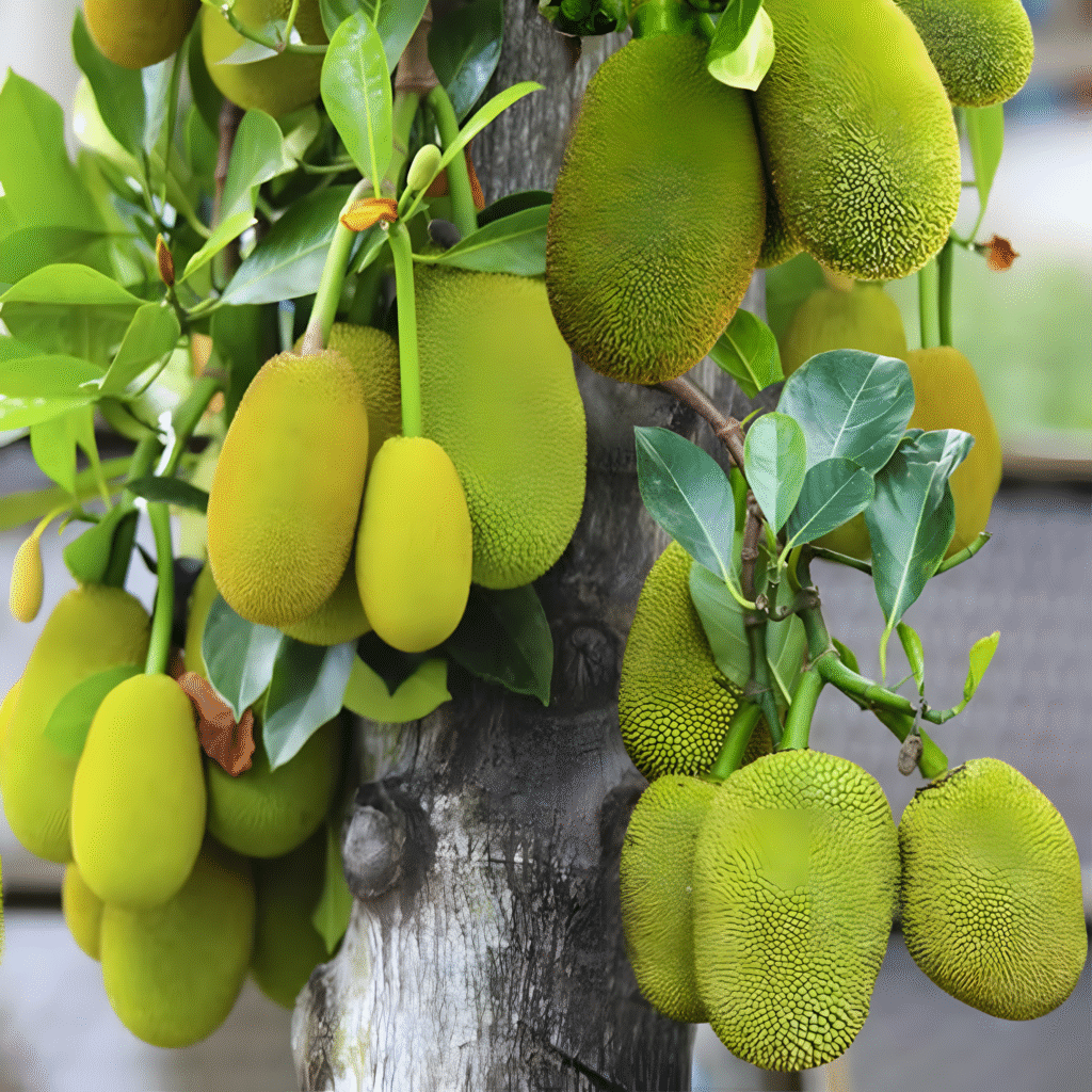 🌿Grow Jackfruit Tree from Cuttings with This Proven Method